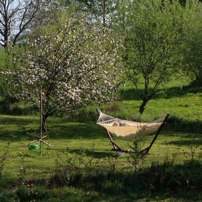 Landhaus Chlosta Buttelkow Exteriör bild