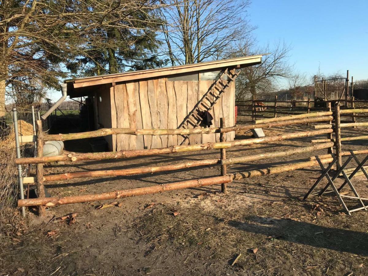 Landhaus Chlosta Buttelkow Exteriör bild